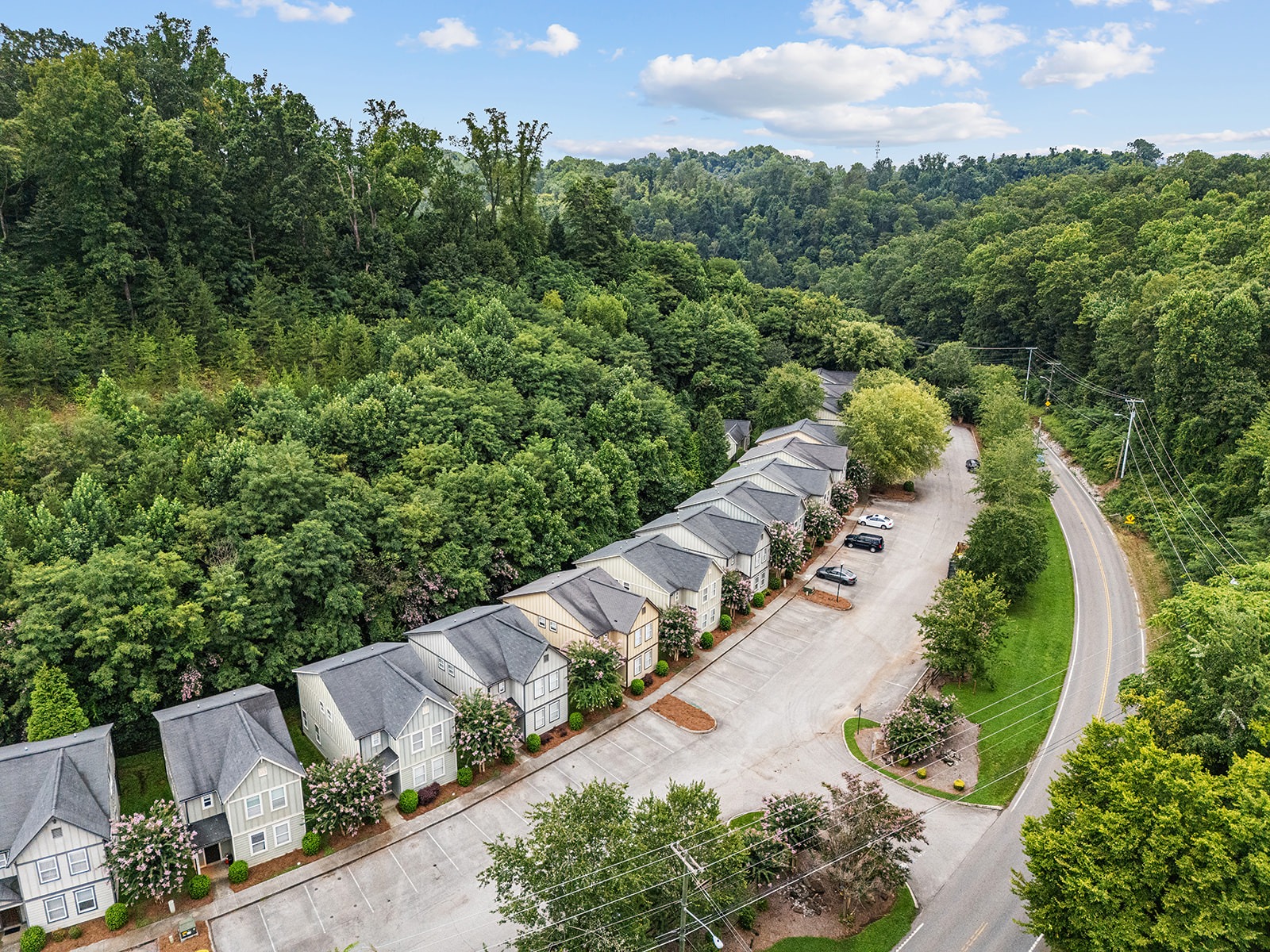 1402 Clover Blossom Way (Driftwood)